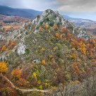 Fall Colors
